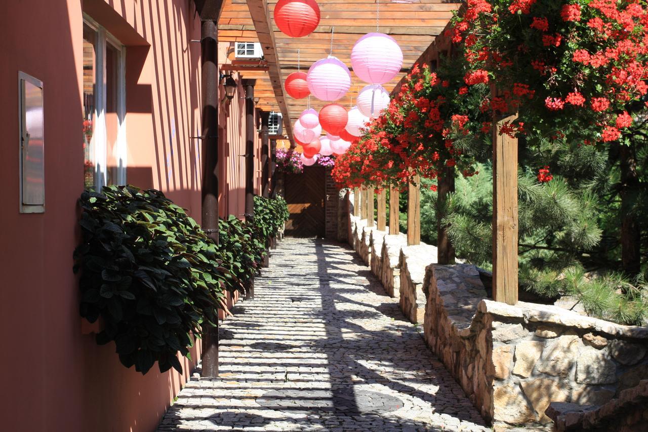 Wisla Mala Hotel Restauracja Pustelnik מראה חיצוני תמונה